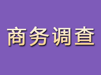 吉隆商务调查